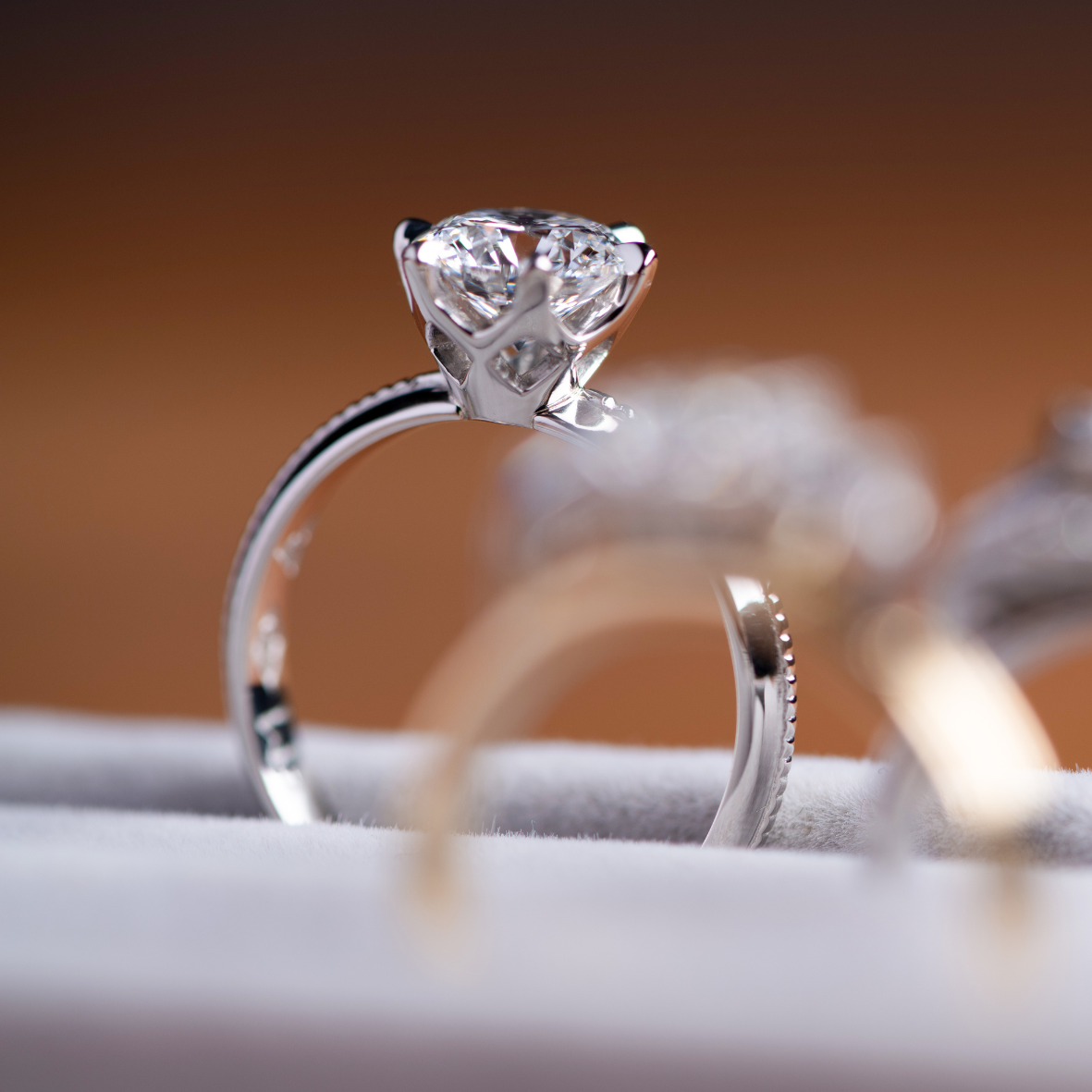 Close up of a platinum ring with round brilliant cut diamonds